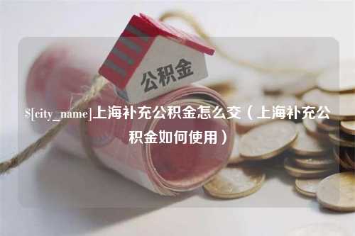 新乡上海补充公积金怎么交（上海补充公积金如何使用）